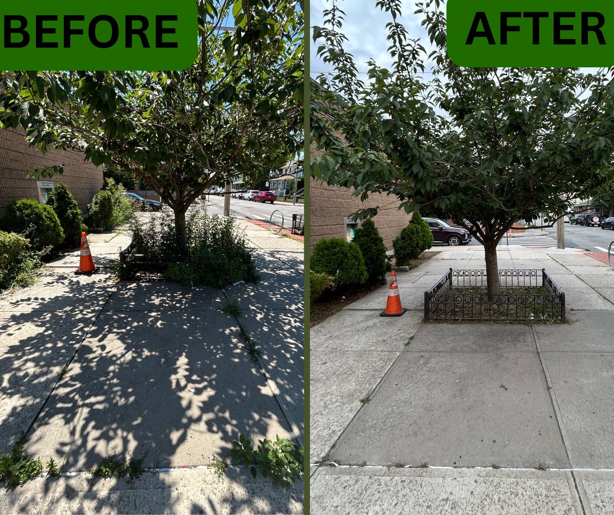 JoannAriola32's tweet image. My office got a call about some overgrown weeds outside of the Seaside Library in Rockaway Beach. We got on the phone with our friends at the Queens Public Library, and they took care of the situation.
Thanks for your partnership and your fast response, Queens Public Library!…