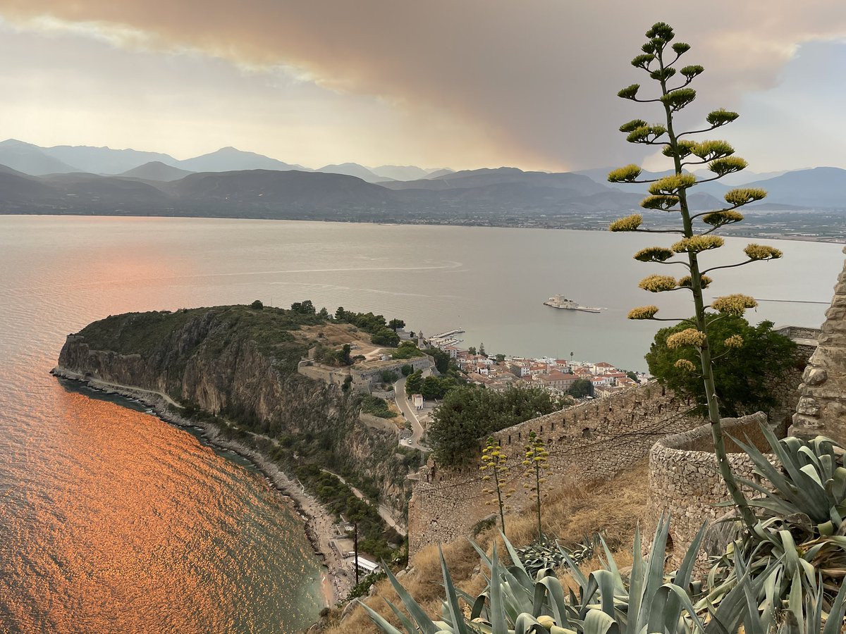 Waldbrand auf den Peloponnes. Nähe Nafplio.