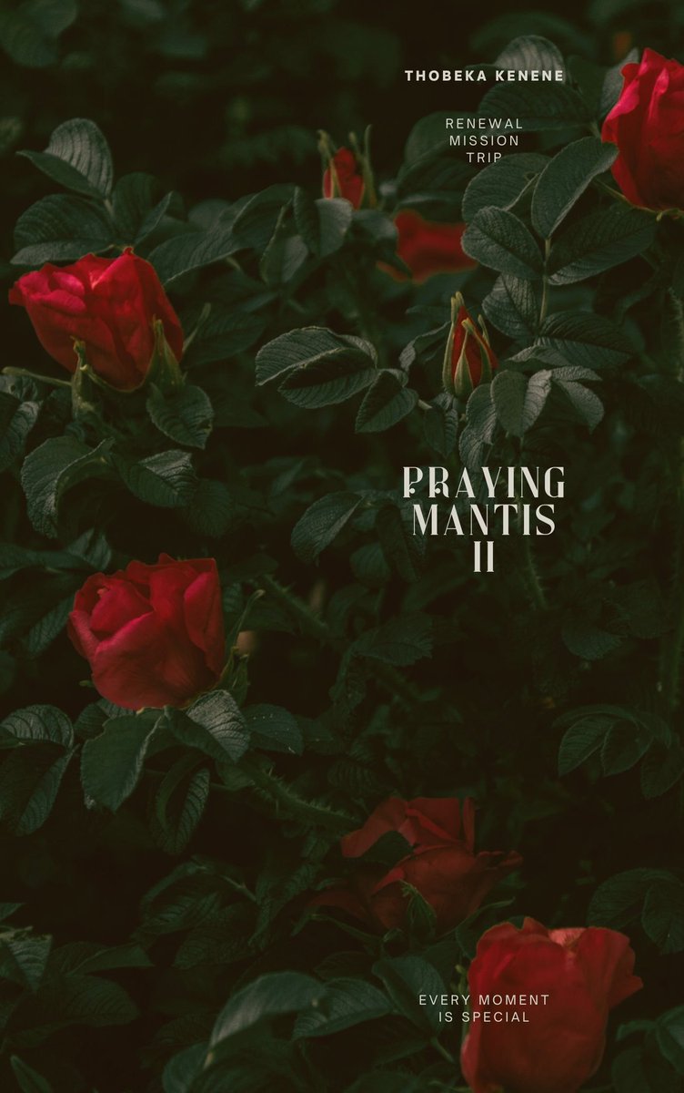 Hello all, I'm taking pre-orders for an Ebook I wrote titled Praying Mantis vol. 2. You can get it emailed or WhatsApped to you for the cost of R50. The book is about a woman's experience on a church mission trip from Gqeberha to Cape Town.