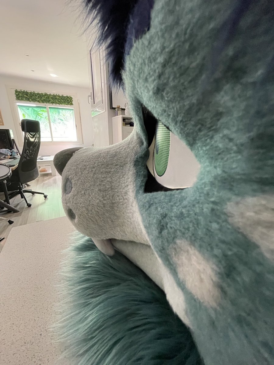 mrw no paw