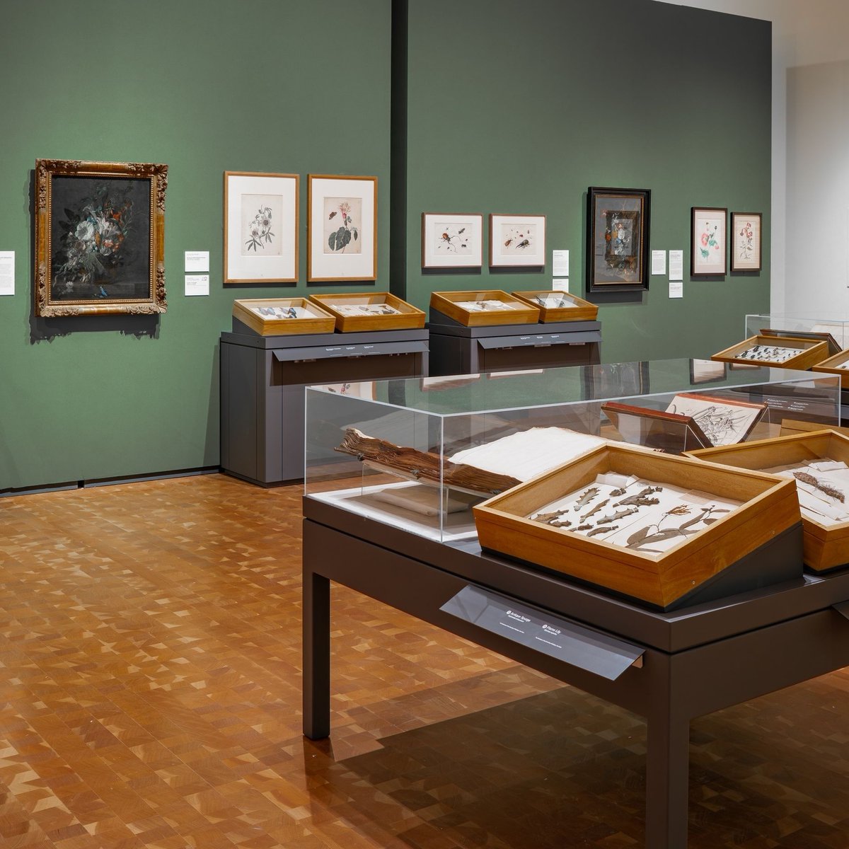 ToledoMuseum's tweet image. Last chance to experience Rachel Ruysch: Nature into Art! 🌸 This is the final week to see the extraordinary still lifes where beauty, detail, and science come together. Don’t miss out: l8r.it/0TCF