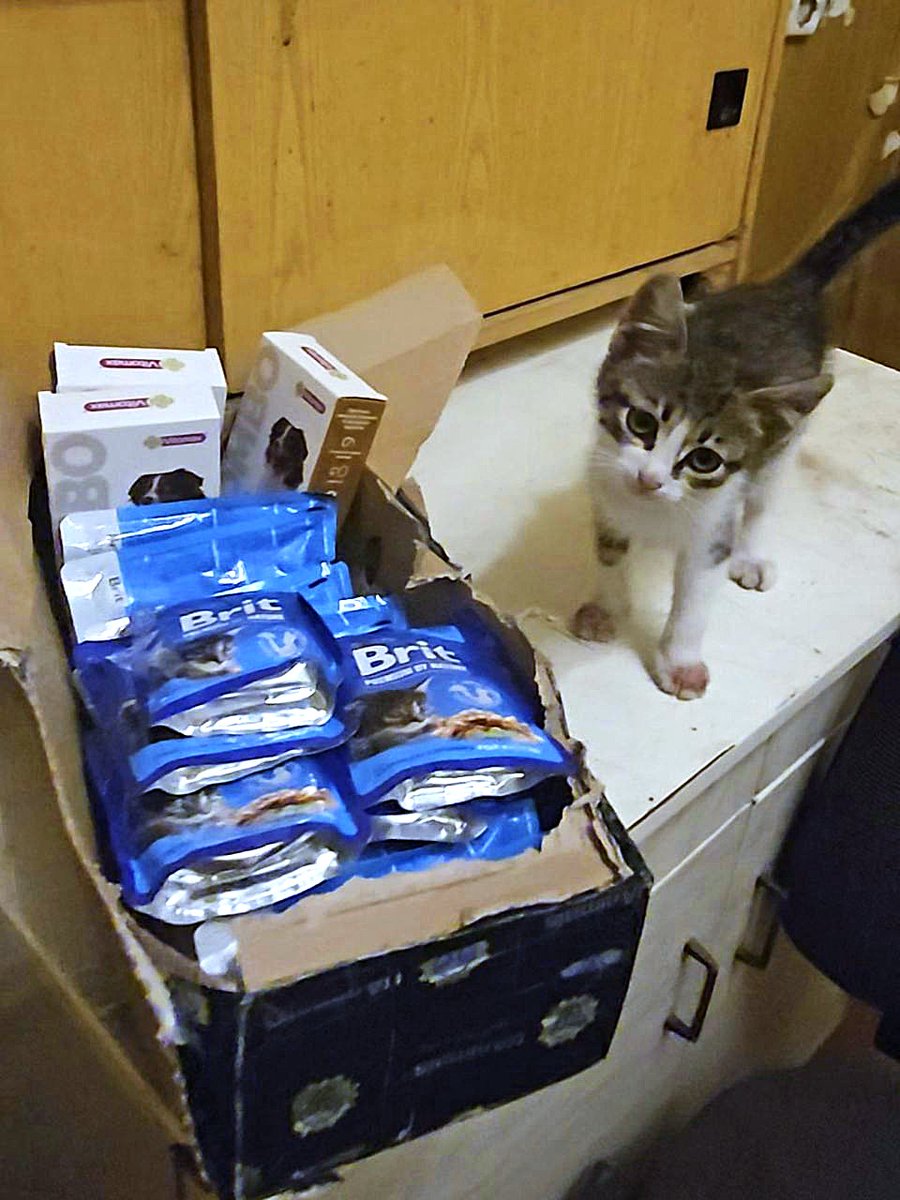 UAnimalsENG's tweet image. 📌 Day 1,244 of the full-scale invasion.
Today, UAnimals supported soldiers who care for animals near the frontline 🫶🪖🐾
📍 We delivered 60 kilograms of aid to Snihurivka, Mykolaiv region:
- 40 kg of dog food;
- 20 kg of cat food;
- 7 parasite treatments for cat and dog.
The…