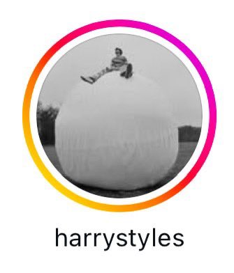 stylesfolders's tweet image. rare sighting of a species called harry styles posting on his instagram story