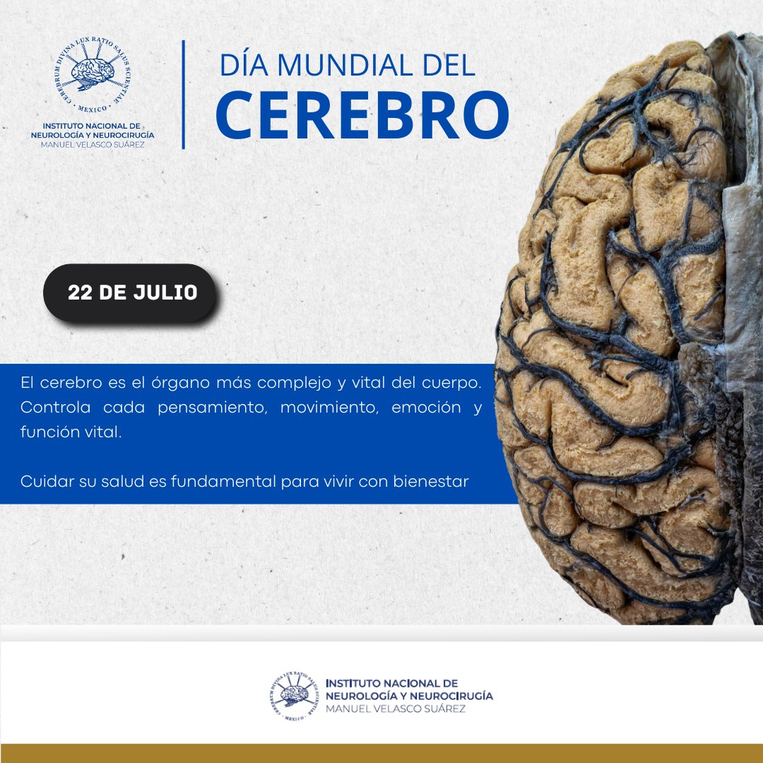 🗓️22 de julio | Día Mundial del Cerebro

En este 2025 el llamado es "Salud cerebral para todas las edades" a través de 5 ejes: Concientización, educación, prevención, acceso a la atención y gestión de la discapacidad y defensa de los derechos.🧠

Promovamos el cuidado del cerebro