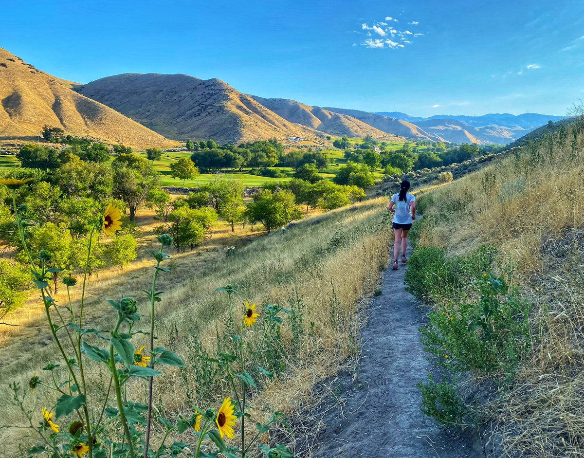 8ntmuch's tweet image. Great morning to go for a run, so I went for 2! 11.65 in total! Started with 9 solo miles. Fun interaction with a buck. Then drove down the road and tried to find Olly and Trish out in their run.