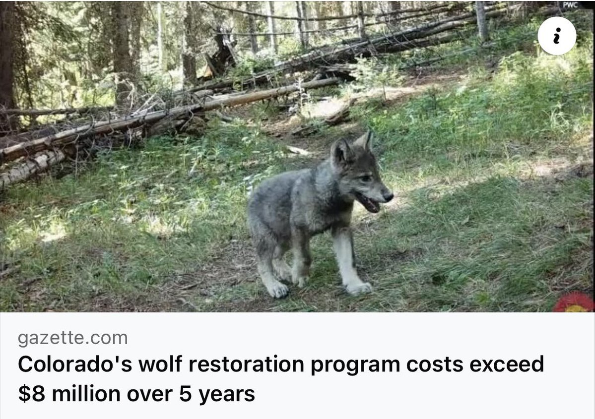 HunterNation's tweet image. The original budget was $800,000 per year. This has double to $1,600,000 per year - Heavily paid through tax payer dollars.
Hunting and trapping allows wolves to be an asset to the states, not a liability.
One commissioner who voted against a rancher claim stated:
"Wolf…