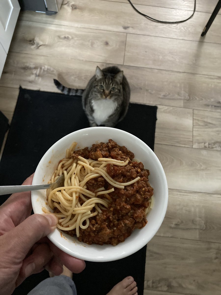 RageoftheMage's tweet image. The new Superman movie really is the story of a man risking his life to save his terrible foster dog. And anyone who has ever rescued an animal will identify with that shit so hard. Speaking from experience with my two terribly behaved rescue cats.
I love them ❤️
