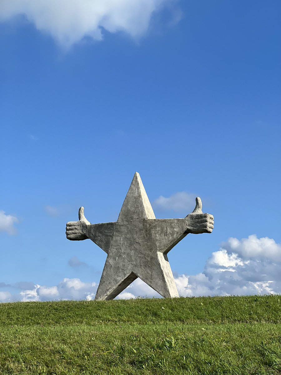 Tom 🎥 tweet media