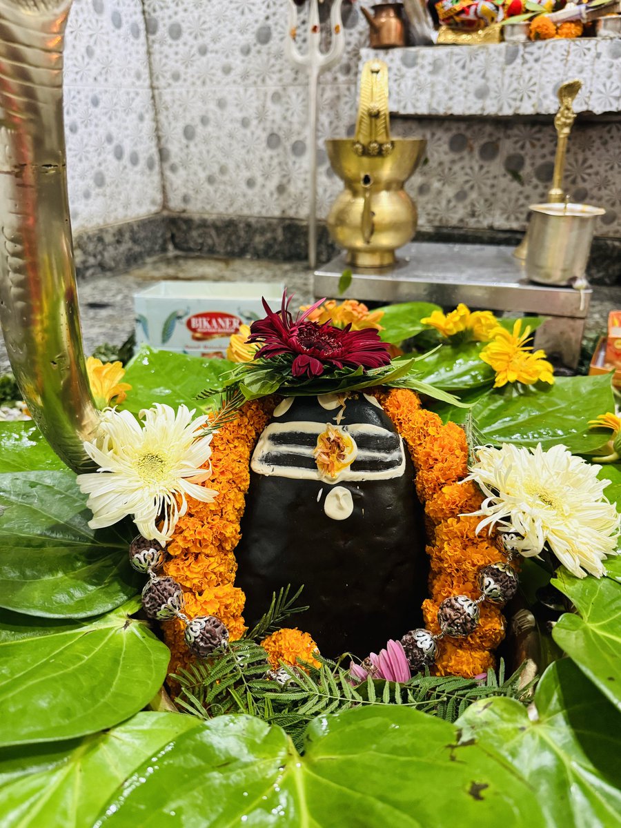 neelkanthtemple's tweet image. शुभ रात्रि श्री नीलकंठ महादेव जी
📍 श्री नीलकंठ महादेव मंदिर उत्तराखंड