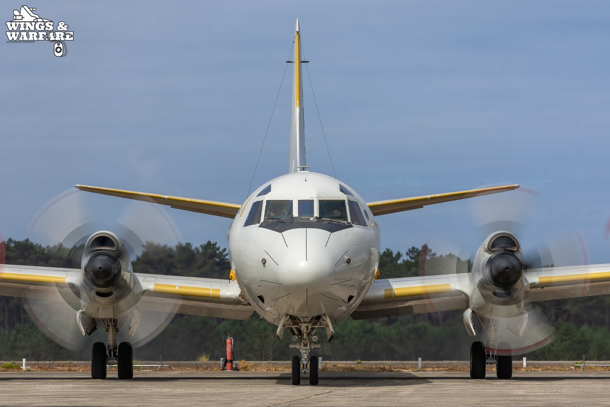 wingsandwarfare's tweet photo. The Wolf Handler 🐺✈️
A ground crew member guides the P-3C CUP+ Orion from @fap_pt 601 Squadron - “Lobos” during parking procedures at AB No.8.
Captured on the past sunday during Open Base Day.
#P3COrion #601Squadron #PortugueseAirForce #GroundCrew #OpenBaseDay #MilitaryAviation https://t.co/Xae1BEciN4