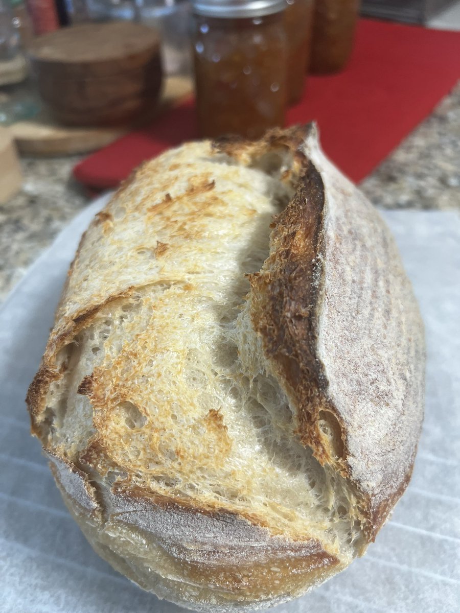 C19VaxInjured's tweet image. It’s a beauty. In the background is my canned relish.