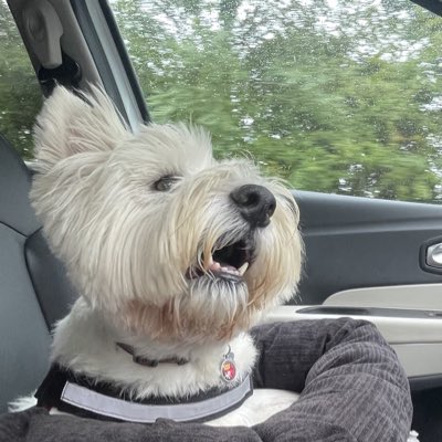 Helen09Porter's tweet image. #NewProfilePic