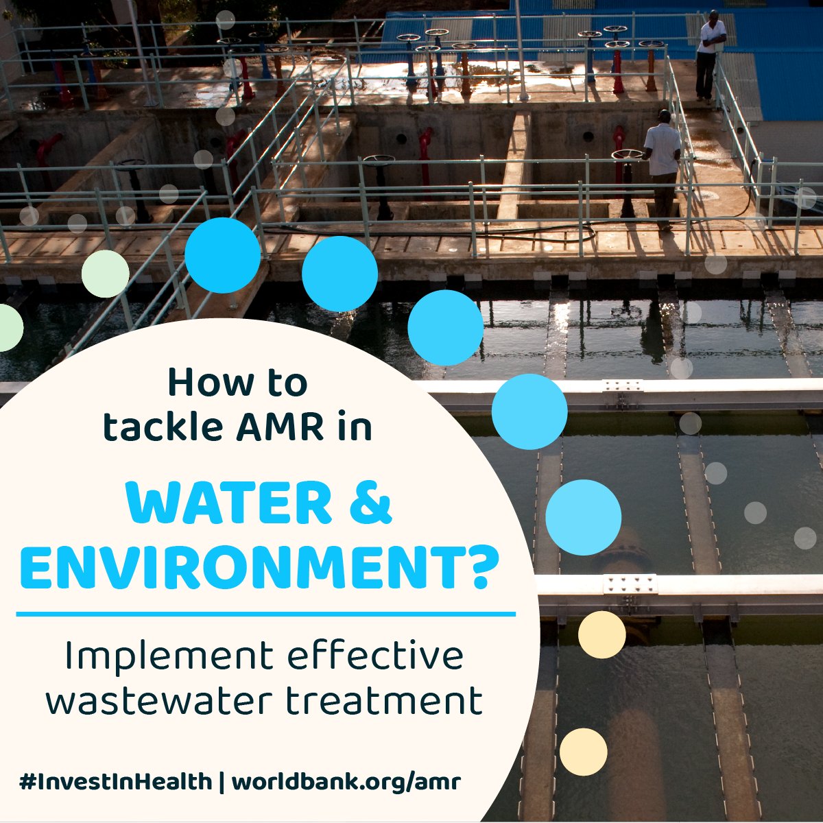 WorldBankWater's tweet image. How to tackle Antimicrobial Resistance (AMR) in Water and Environment? Learn more about the @WorldBank's efforts. #InvestInHealth #AMRaction
wrld.bg/sAAY50RTizb
