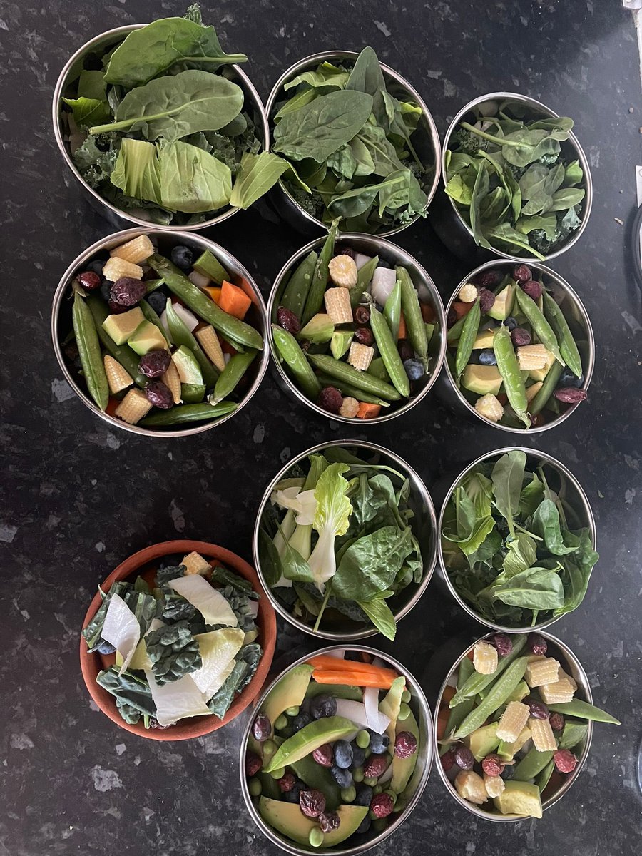 AllumPaul's tweet image. We have spent out on new bowls for the squirrels and swing feeder if anyone can help by donating a £1 or more towards this we would really appreciate it thank you 🩶🐿️🐿️🐿️🐿️ hitchinsquirrelrescue.co.uk