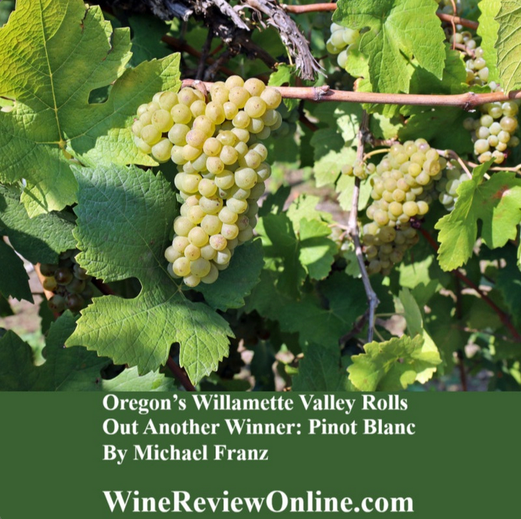 Michael Franz (@michael_franz) on Twitter photo Pinot Blanc may be the world’s most under-estimated white wine grape variety. I recently reviewed 11 from Oregon's Willamette Valley:
winereviewonline.com/oregons-willam… <a href="/WineReviewOnlin/">WineReviewOnline.com</a> Pinot Blanc may be the world’s most under-estimated white wine grape variety. I recently reviewed 11 from Oregon's Willamette Valley:
winereviewonline.com/oregons-willam… <a href="/WineReviewOnlin/">WineReviewOnline.com</a>