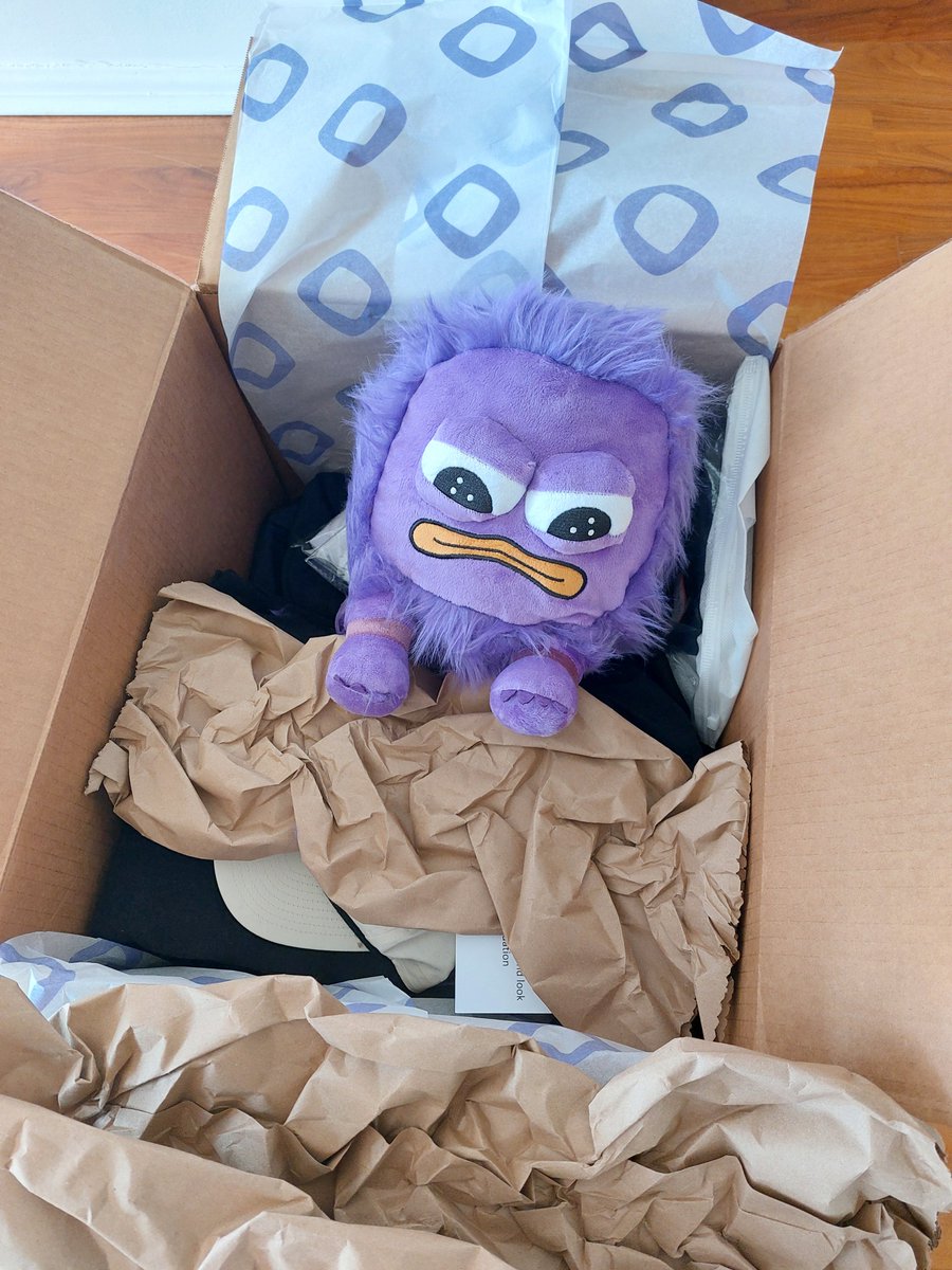 CamilleBzd's tweet image. Gmonad. Today, it's been 2 weeks since I started to work at @monad foundation as an engineer. Things are moving fast, and what better way to hold on than an emotional companion sent directly by the team? Or maybe he is just here to check I am doing my PRs who knows