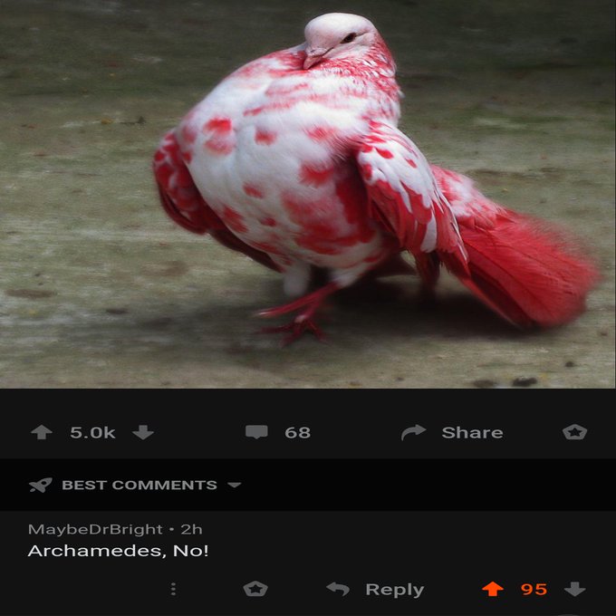 Mr_Ahs_cs's tweet image. 