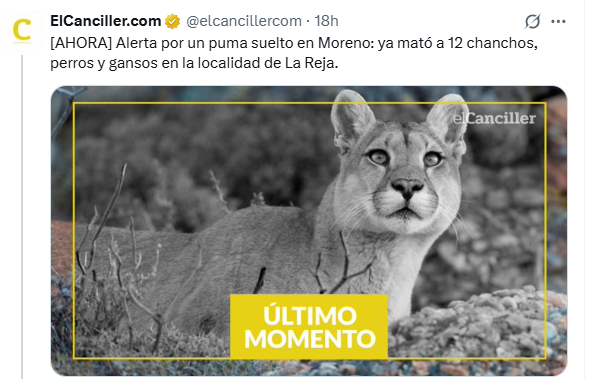Carlos Maslatón tweet media