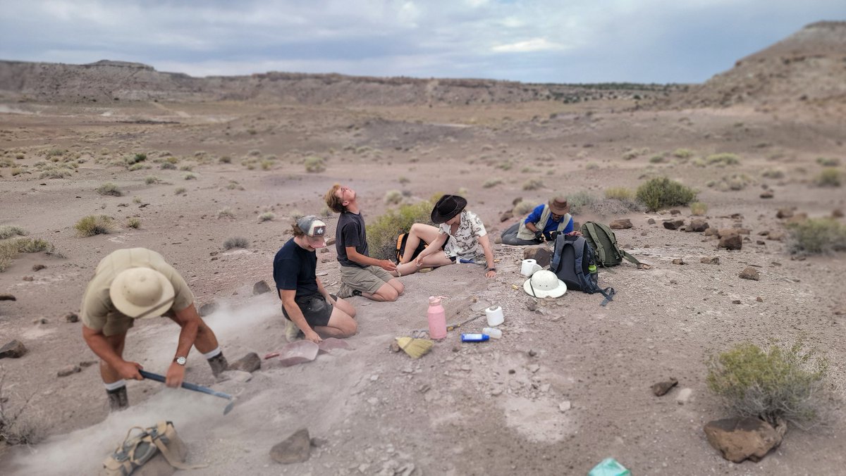Paleojim's tweet image. Progress at Doellings Bowl as we get into the bonebed level. Visited the Prehistoric Museum's microvertebrate site, lots of tiny Lower Cret bones. Houston's Jurassic James is having some dino-fun to use in his dino-outreach programs. @utahgeological @JeremyBRoberts @kslnewsradio