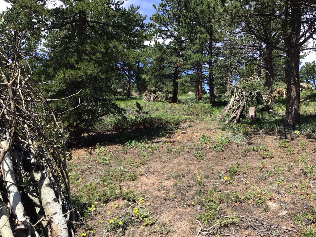 Safety Alert: Thinning and other work is starting in the Gold Lake area near Ward in preparation for prescribed fire in the winter. Crews will be using chainsaws, small machinery and hand tools to work in the area. Use caution and observe signage when crews are working.