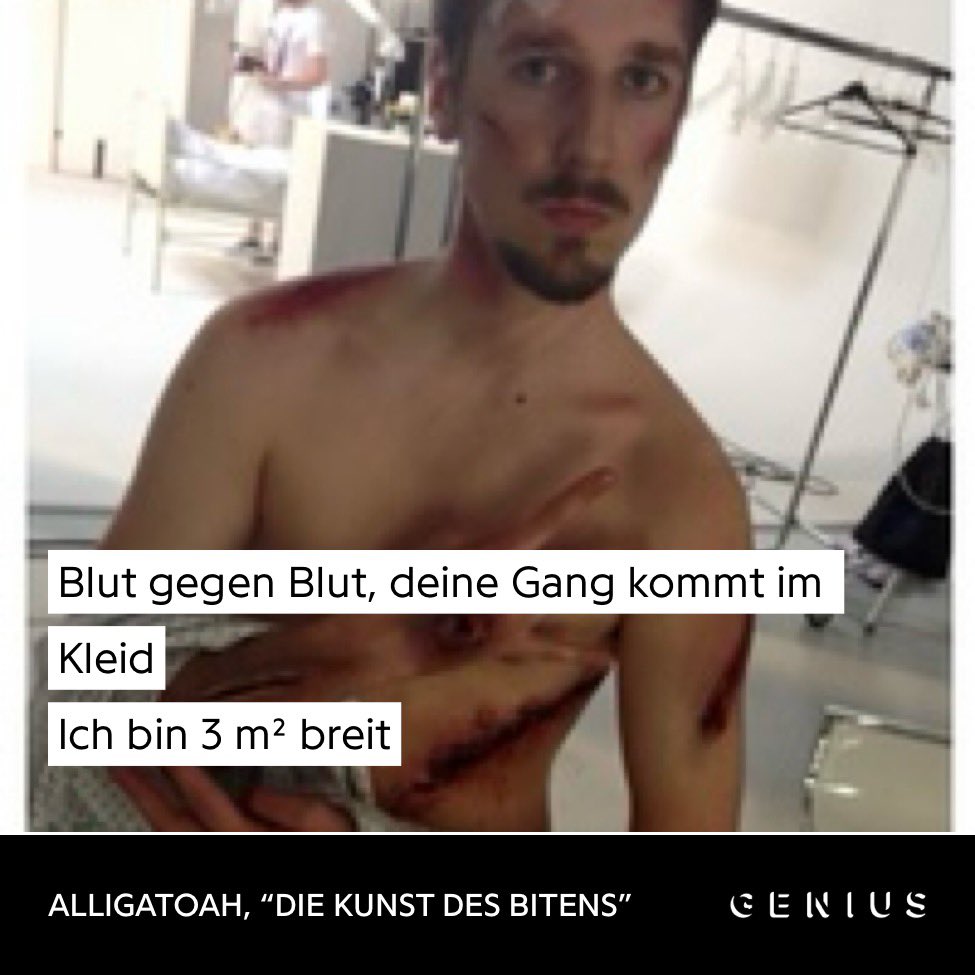 nocontextgrap's tweet photo. Der alte #alligatoah war besser https://t.co/rMjZ84dZM5