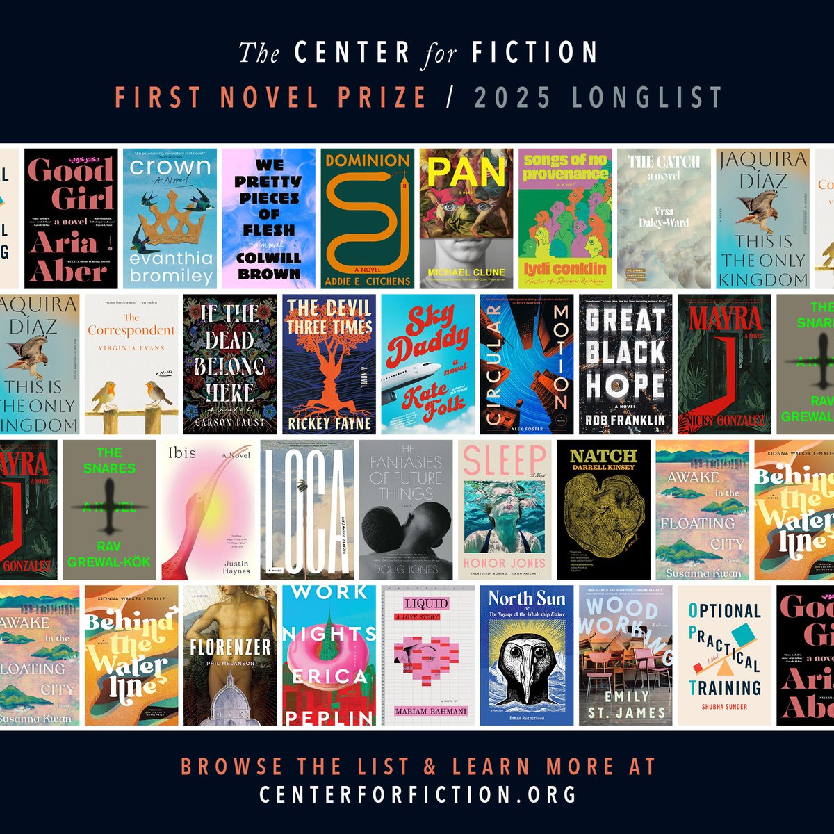 Center4Fiction's tweet image. ⭐ 185 submissions. 29 books. The Center for Fiction 2025 First Novel Prize Longlist!⭐
centerforfiction.org/book-recs/2025…