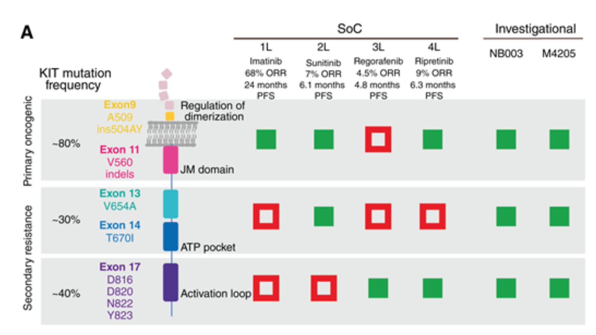 MCT_AACR's tweet image. M4205 (IDRX-42) Is a Highly Selective and Potent Inhibitor of Relevant Oncogenic Driver and Resistance Variants of KIT in Cancer: brnw.ch/21wUl4E