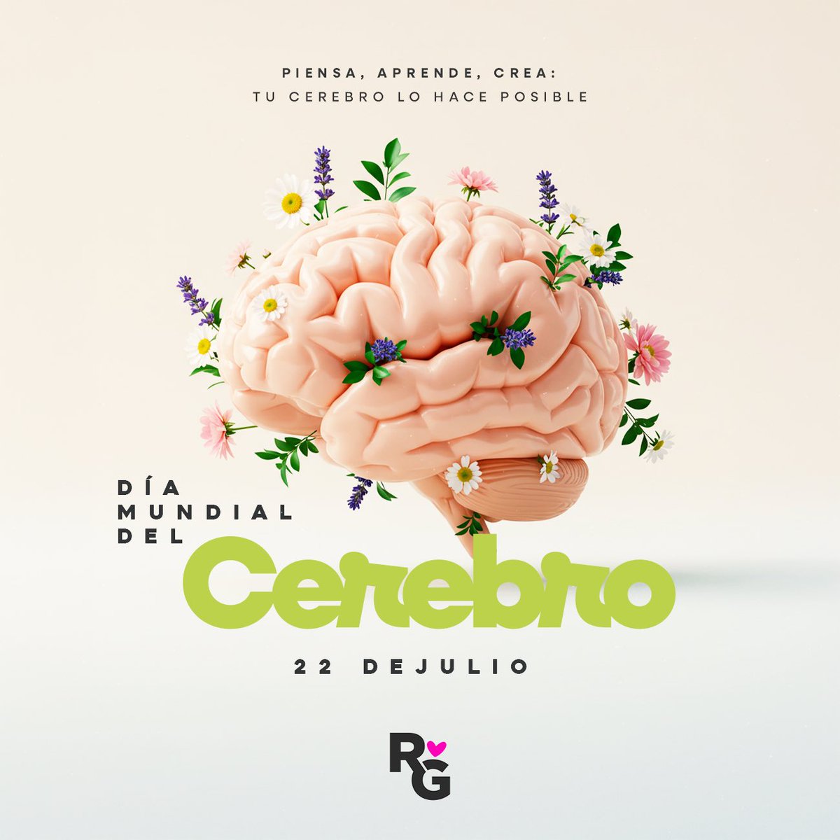 RuthGonzalezMx's tweet image. 🧠 Hoy es el Día Mundial del Cerebro, el órgano que nos permite pensar, sentir, movernos… ¡y soñar!
Cuídalo con buena alimentación, descanso, ejercicio y salud mental. ✨

¿Sabías que el cerebro pesa apenas 1.4 kg pero controla todo tu cuerpo?
