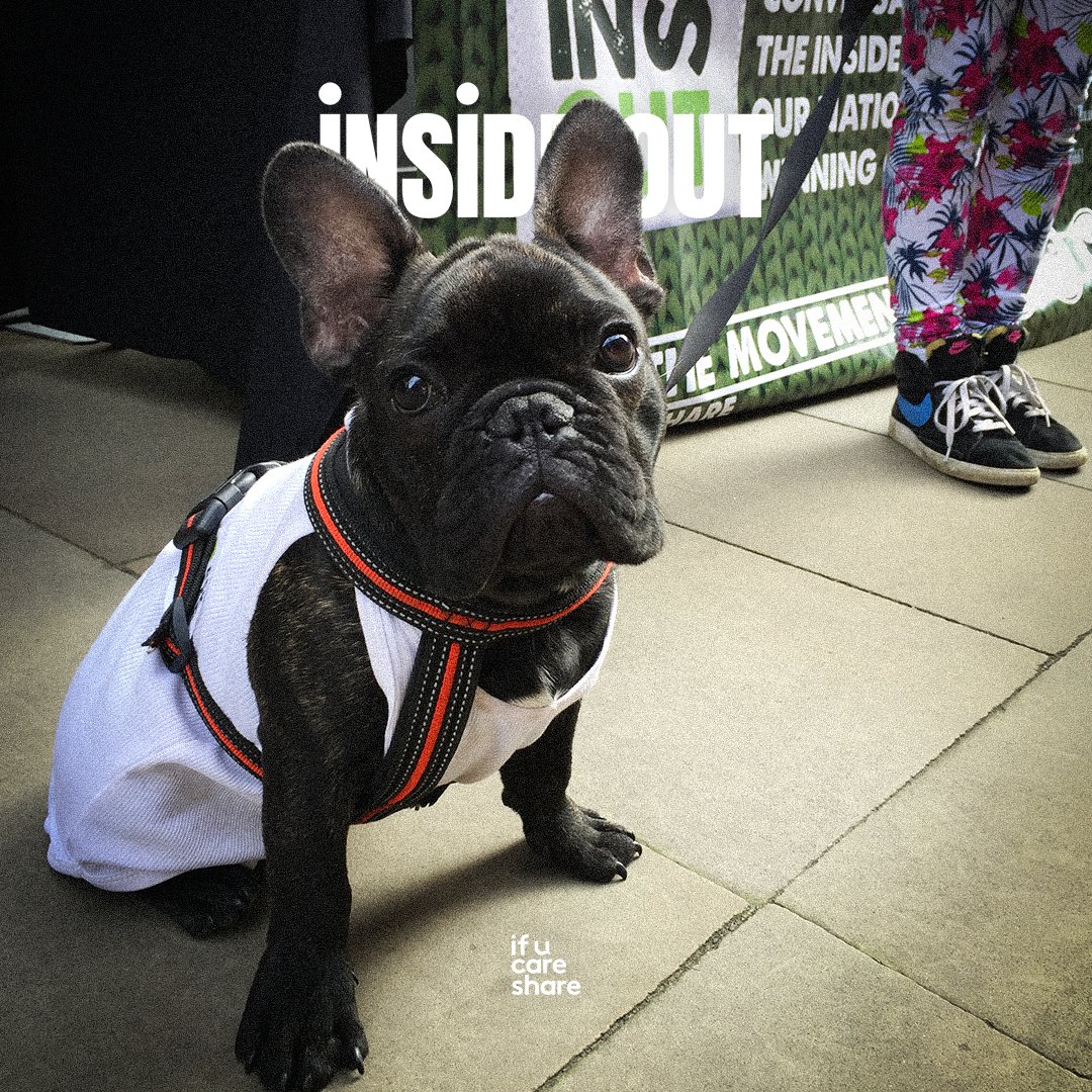 ifucareshare's tweet image. Dogs of Inside Out part 2οΈβ£
Join our four-legged friends and get what's on the inside, out on September 10th π
π bit.ly/goinsideout
#InsideOut #AskMeWhy #SuicidePrevention #SuicideAwareness #SupportAfterSuicide #IfUCareShare #MentalHealthMatters #MentalHealthAwareness