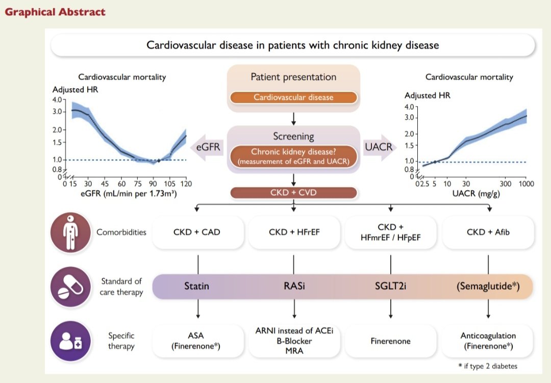 javier20ch's tweet image. Enfermedad Cardiovascular en la Enf. Renal Crónica. 🫀💥
🔶️El desarrollo de Enf. CV en la ERC es un proceso complejo y multifactorial causado por factores de riesgo tradicionales como la hipertensión, DM2, dislipidemia; así como factores asociados a la ERC como la inflamación,…