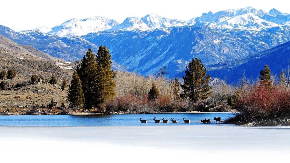 USGSCoopUnits 🐾 🎣 tweet media