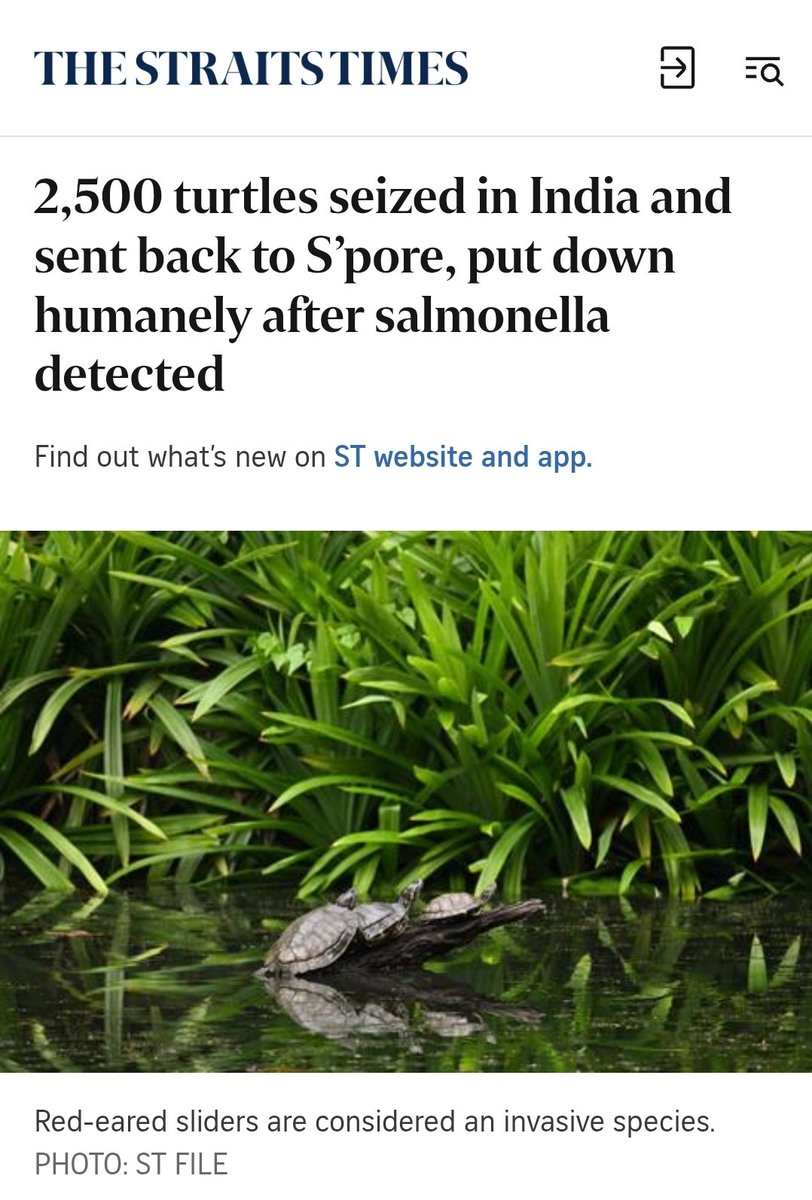 2,500 turtles smuggled. Seized in India. Returned to Singapore. All euthanised due to Salmonella spp. infection risk. Wildlife trafficking isn’t just illegal, it’s a biosecurity threat!
Exotic pets are not conversation starters or status symbols, they're literally disease vectors