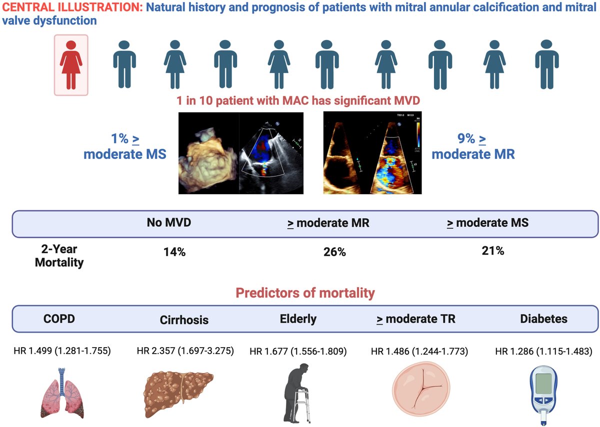 MyJSCAI's tweet image. 📖Published today 💡The severity of #MitralValve dysfunction is a driver of adverse clinical outcomes in patients with #MitralAnnularCalcification. Read more:⬇️
➡️doi.org/10.1016/j.jsca…
@mendezh1999 @djkereiakes @PuviSeshiah @ChristHospital @HanadBashirMD @SaadHasanMD…
