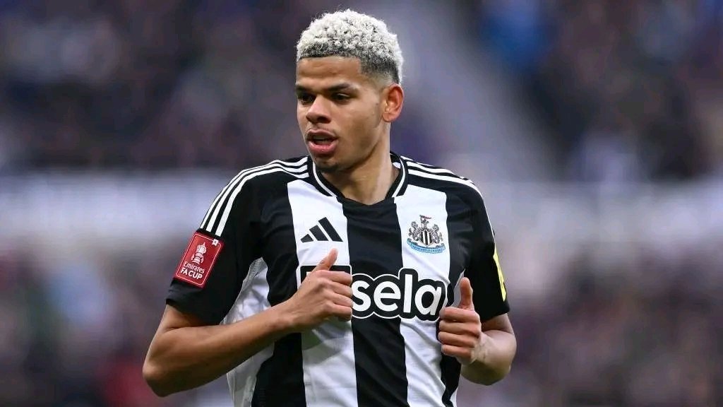 Magpie24_7's tweet image. 🇩🇰 The Curious Case Of Will Osula
Signed in August 2024 from Sheffield United, for a reported £15 million inclusive of add ons, Will found his first season with us a very challenging and frustrating experience, ala Lewis Hall.
After a year of learning the 'Eddie Howe way',…
