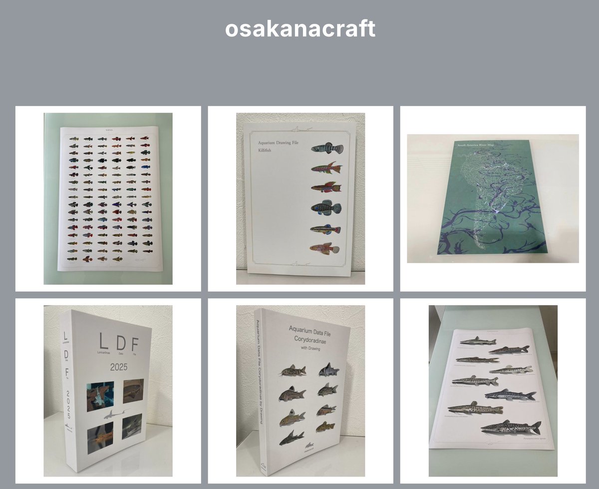rfallax's tweet image. 僕の作品はOsakanacraftで販売しています。 My artwork is sold in website Osakanacraft. osakanacraft.thebase.in