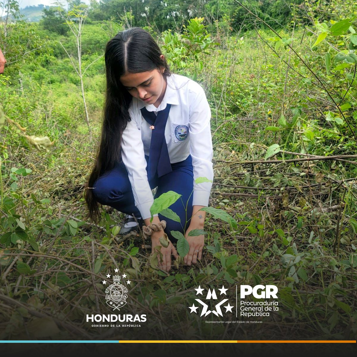 📌 PGR impulsa jornada de reforestación en San Nicolás, Santa Bárbara 🌳🌱🌿

La Procuraduría General de la República, en coordinación con el Programa Padre Andrés Tamayo (PPAT), el Instituto de Conservación Forestal (<a href="/ICFHonduras/">ICF</a>) y otras instituciones, llevó a cabo una exitosa