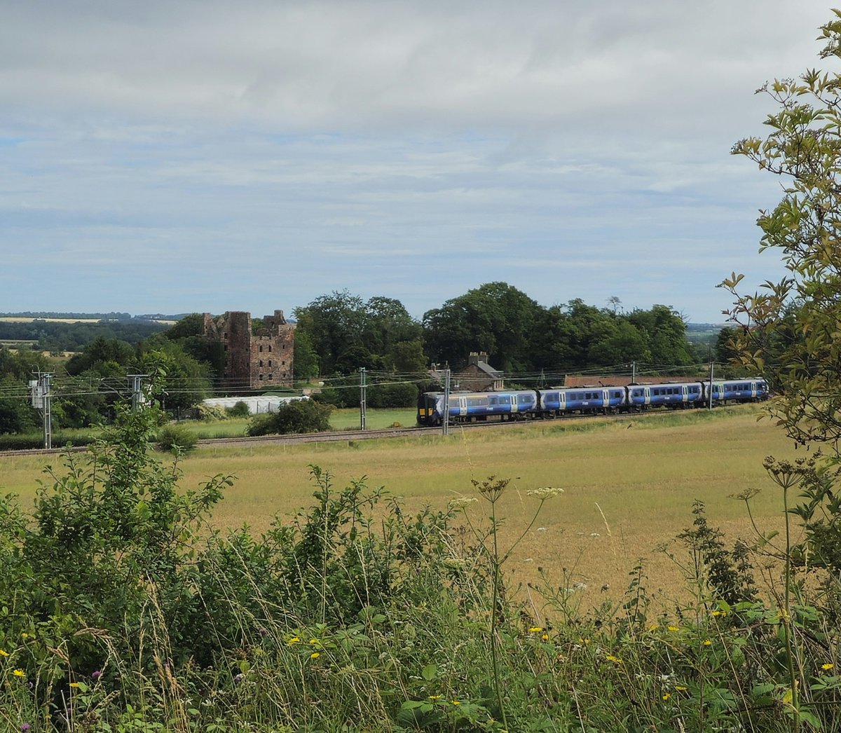 saucypots tweet media