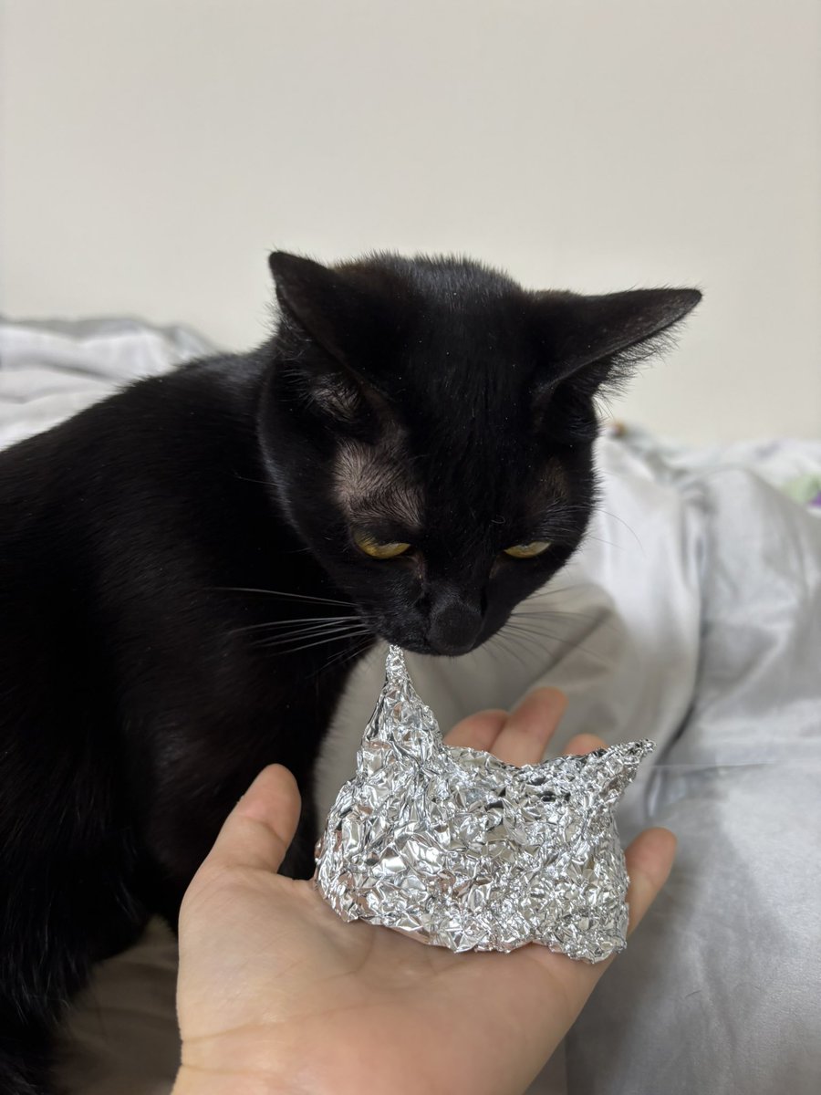 ksononair's tweet photo. It’s time for us to foil up https://t.co/ltrefXoOeB