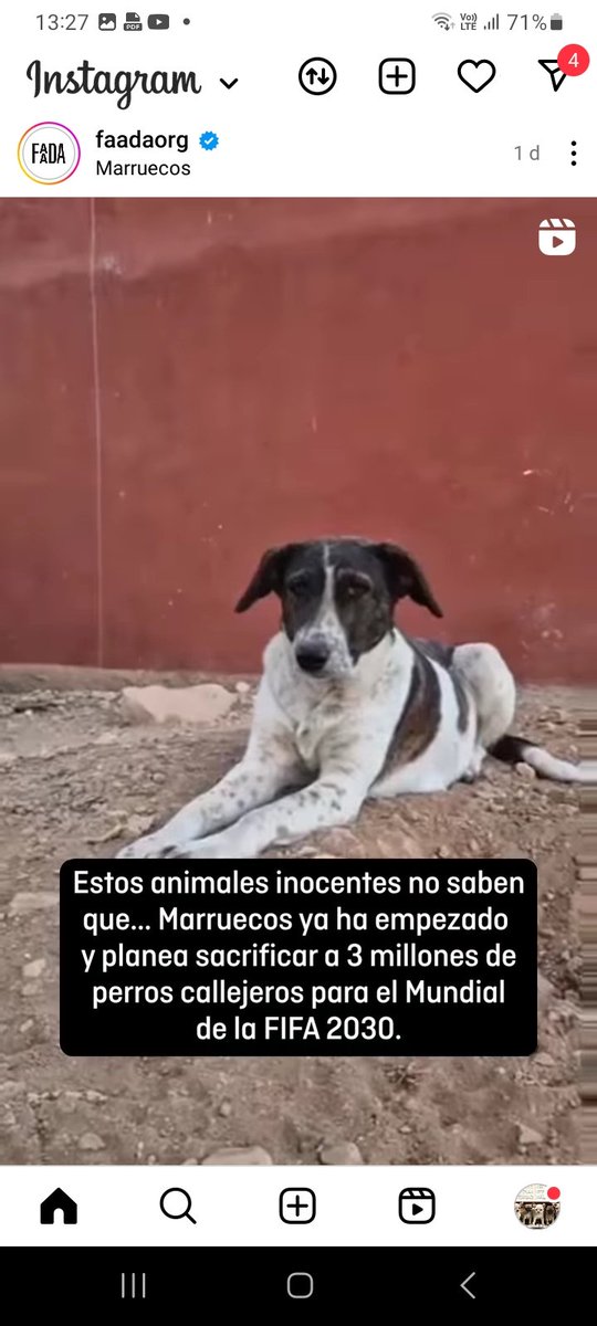 Como No Adorarlos tweet media