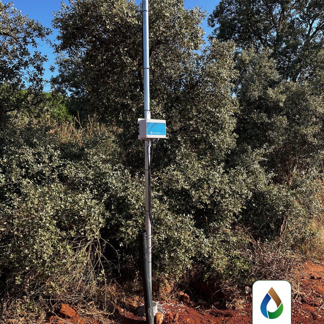 WiseconnEurope's tweet image. Nuova installazione della nostra soluzione #DropControl in Castilla-La Mancha🇪🇸 su 80 ettari di uliveti per gestire l’irrigazione in modo efficiente e da remoto, assicurando il massimo rispetto delle esigenze idriche di queste colture🫒💧

#WiseConnEurope #IrrigazioneDiPrecisione