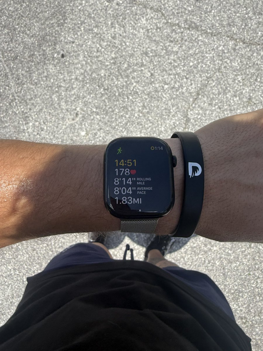 AnthonyAnselmo4's tweet image. Putting in work everyday