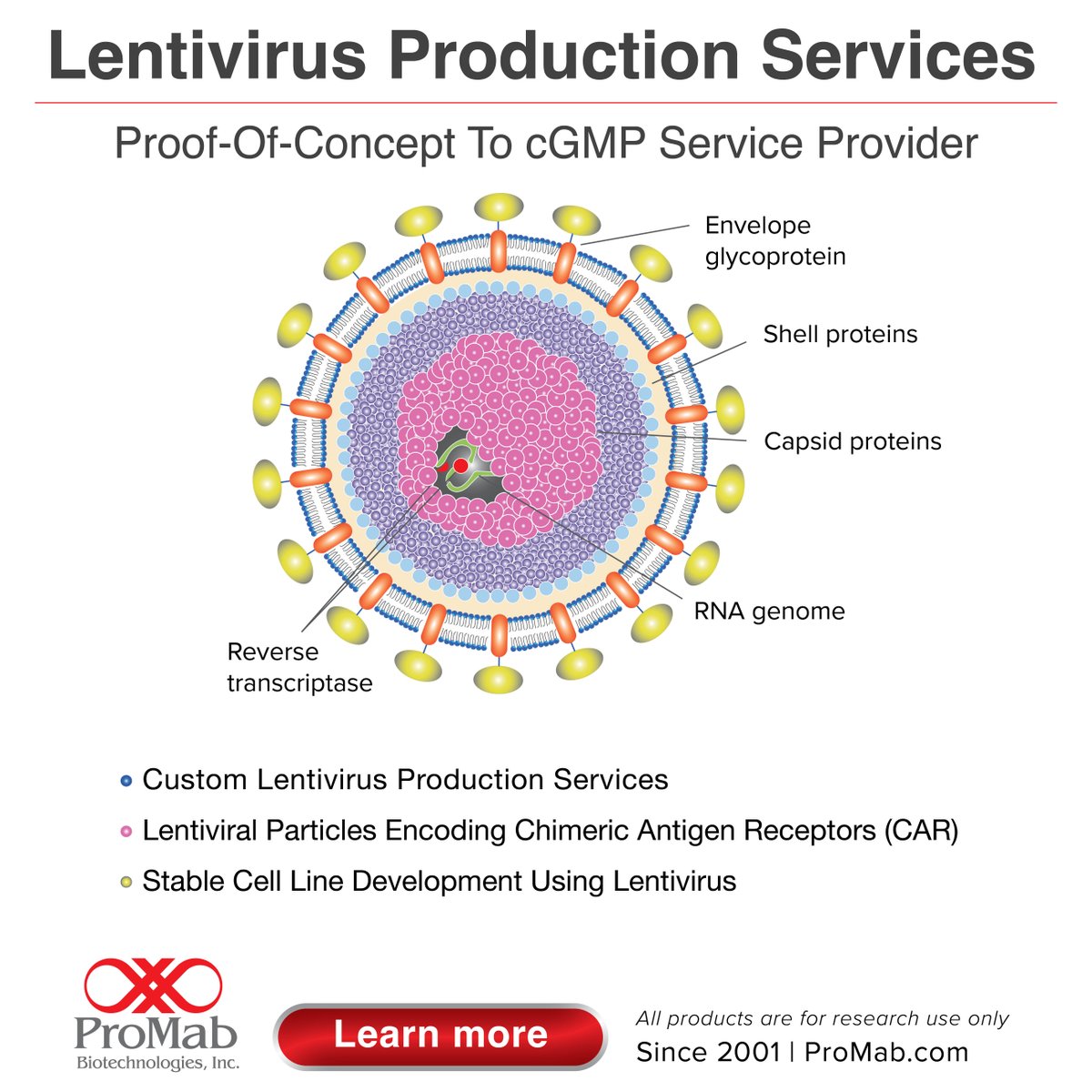 ProMabBiotech's tweet image. 🚀 Use ProMab’s lentivirus production services to make your CAR-T cells and stable cell lines! 👉 🔗 Discover more: hubs.li/Q03yhcJz0  #CART #CD19 #BCMA #Mesothelin #EGFR #lentivirus