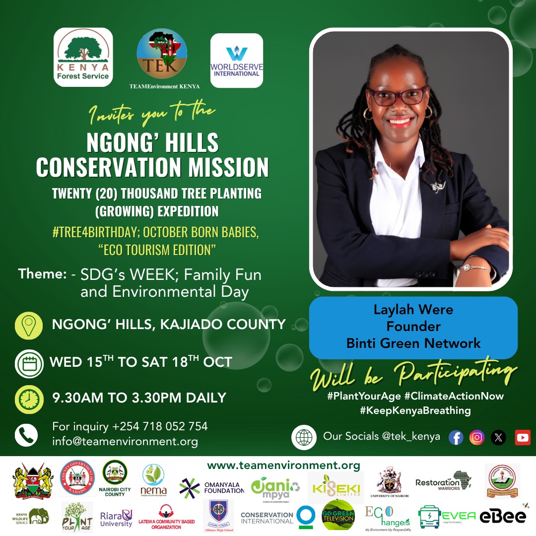 bintigreennetworkorg tweet media