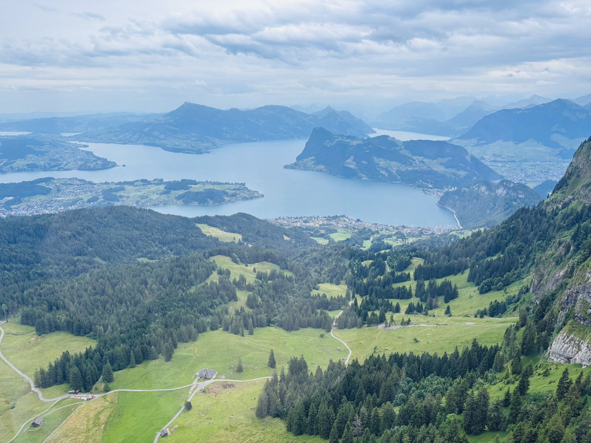 valentinap1707's tweet photo. 🇨🇭🐄 https://t.co/JSazCwLoFd
