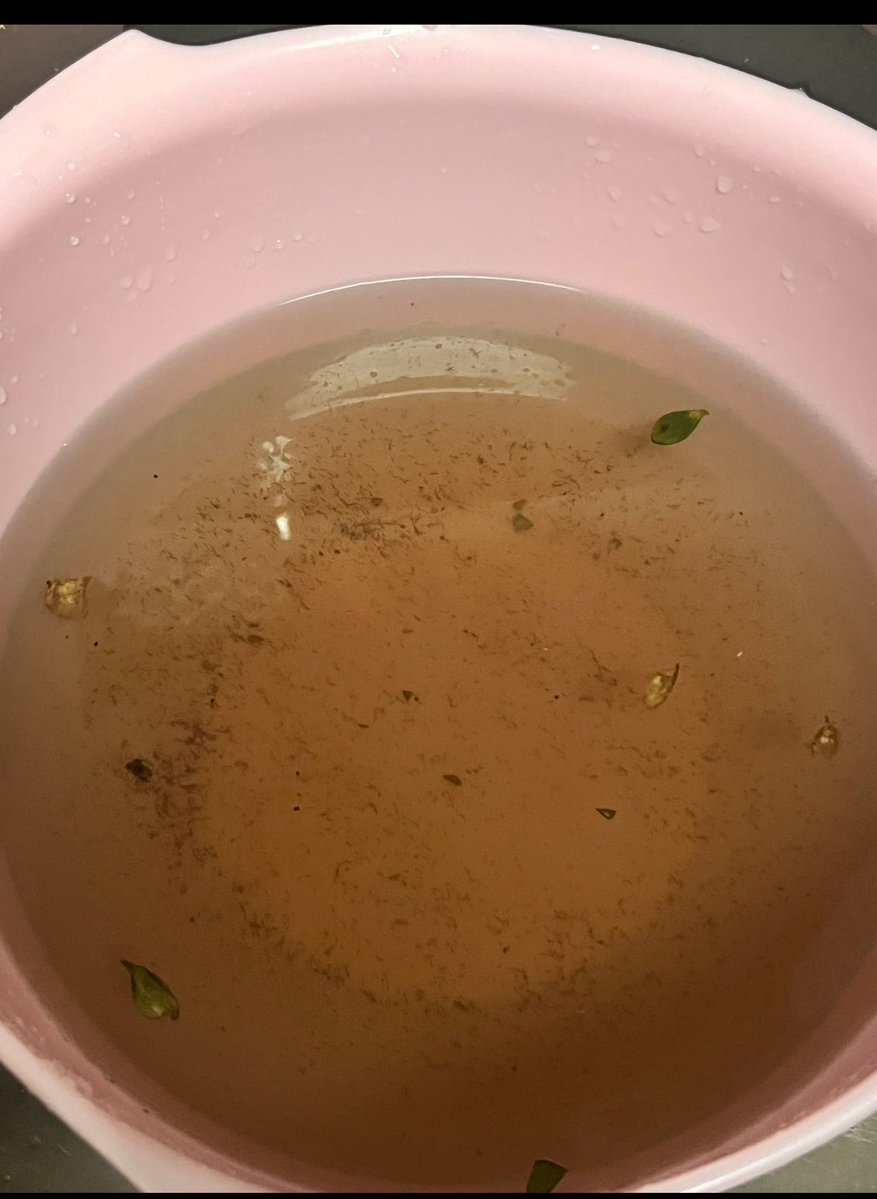 GoonExile's tweet image. this is why you should do a 15min baking soda soak to clean ur produce🤮