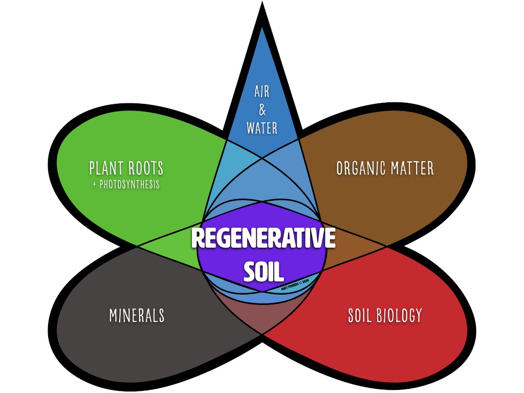 MattPowersSoil's tweet image. The 5 Keys to Regenerative Soil (2020)
thepermaculturestudent.com/shop/regenerat…