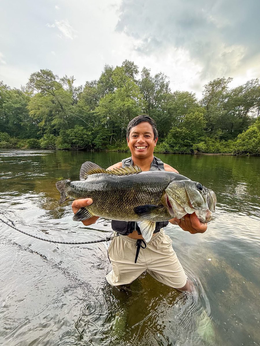 Kayak Rentals tweet media