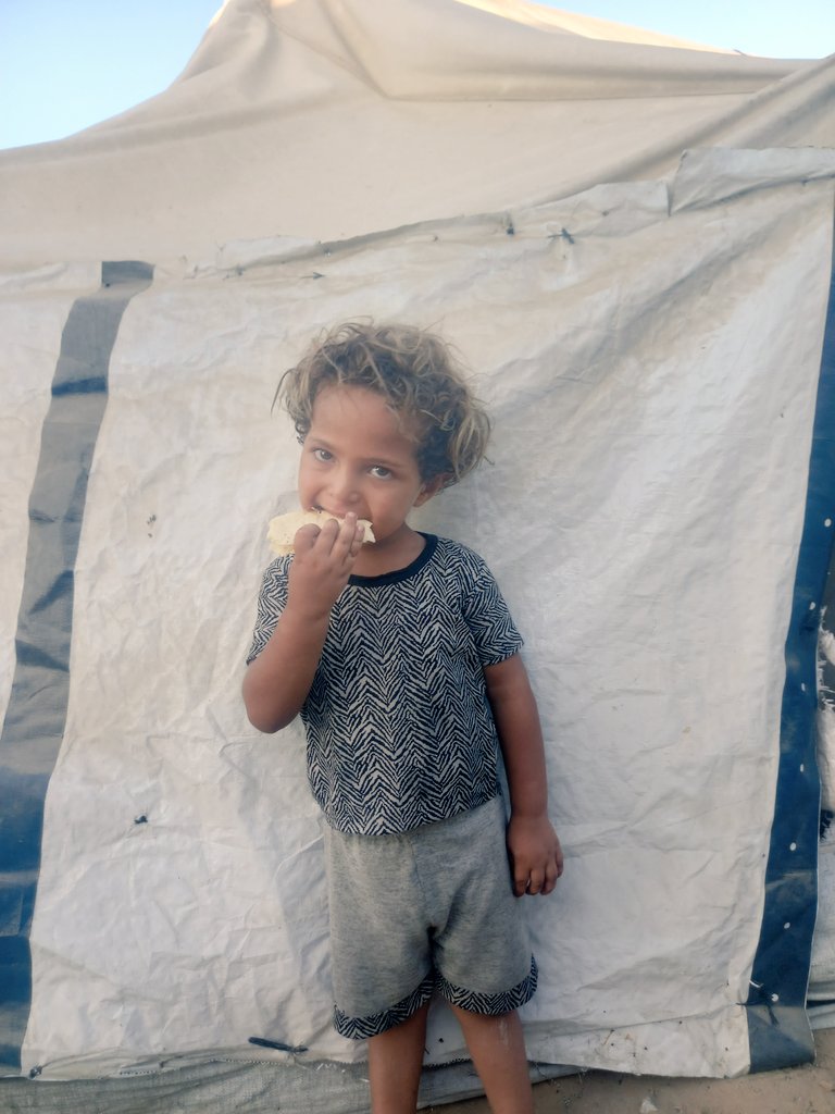 AhmadA2555's tweet image. We live in a torn tent, struggling with hunger, insects, and fear day and night. Khalil goes to sleep without dinner, waking up crying from pain, hunger, and panic. Today I bought a kilo of flour for 110 shekelsโฆ just to try to cook him something to ease his hunger. Can youโฆ