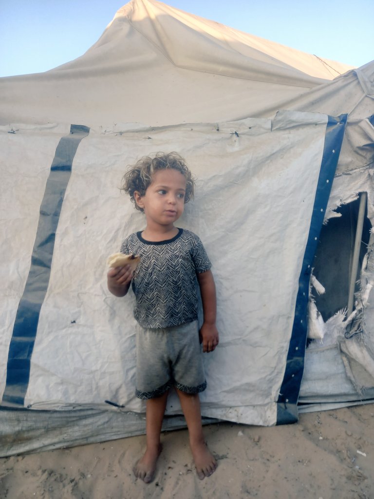 AhmadA2555's tweet image. We live in a torn tent, struggling with hunger, insects, and fear day and night. Khalil goes to sleep without dinner, waking up crying from pain, hunger, and panic. Today I bought a kilo of flour for 110 shekelsโฆ just to try to cook him something to ease his hunger. Can youโฆ