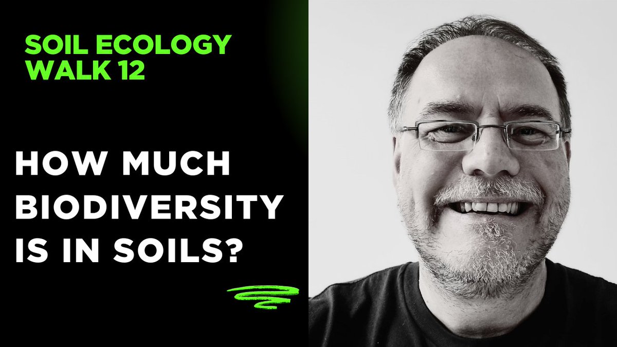 mrillig's tweet image. A new soil ecology walk video is out:

How much biodiversity is there in soils?

youtu.be/iBz_-5bR8B4?si…